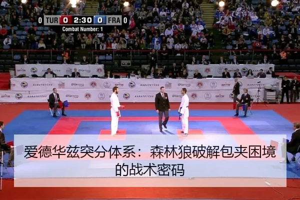 爱德华兹突分体系：森林狼破解包夹困境的战术密码
